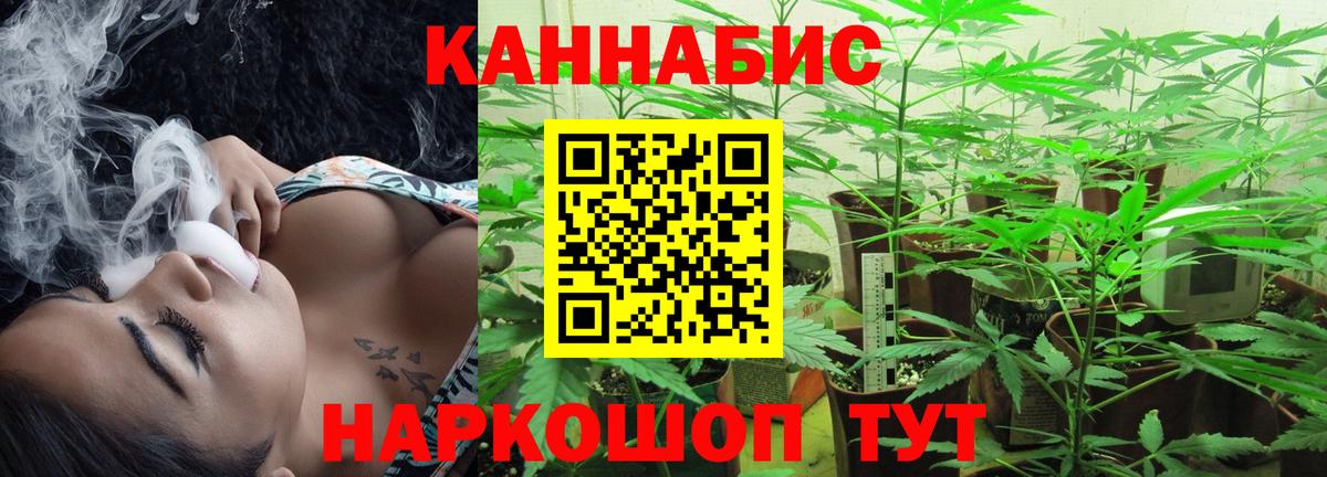 Шишки марихуана семена  Вход с VPN  Губкинский  Марихуана LSD WEED 